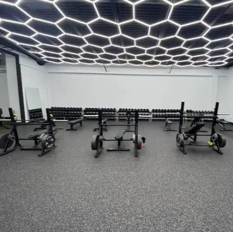 gym life